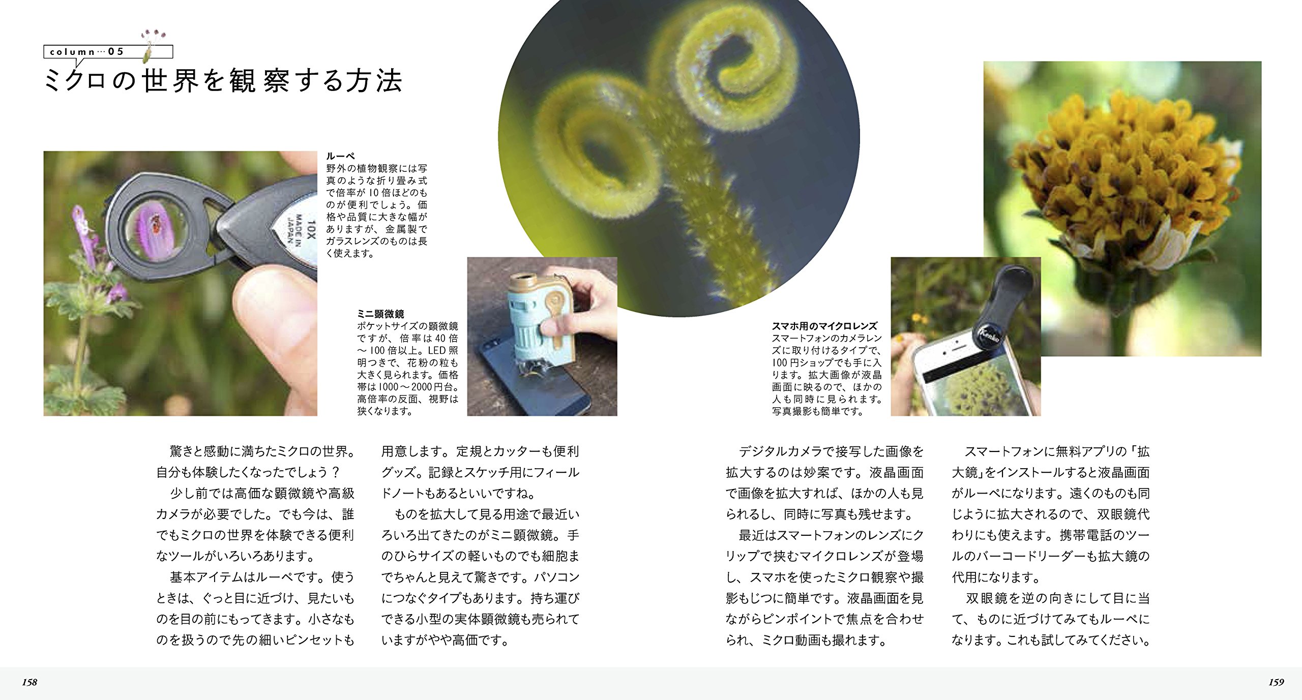 美しき小さな雑草の花図鑑 多田 多恵子 大作 晃一 本 通販 Amazon