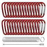 XIECHANEE 30PCS Aluminum Carabiner Clips, 2" D