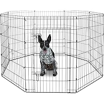 tennis ball guns for dogs