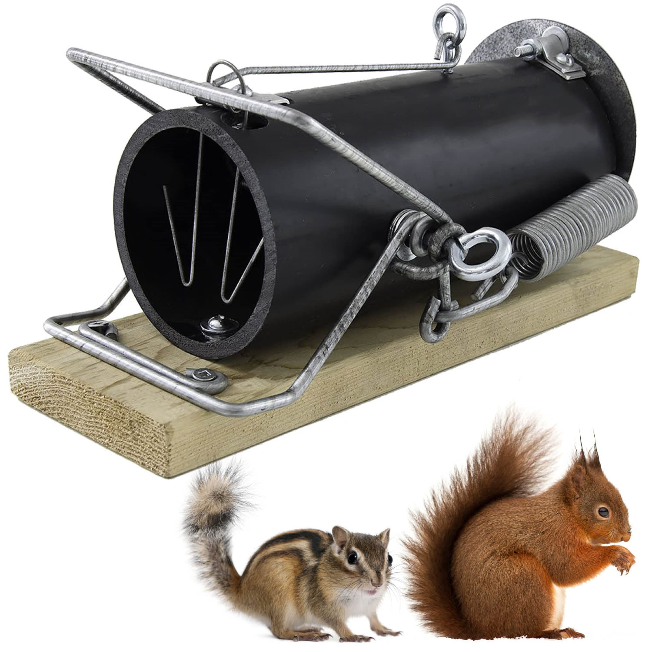 Squirrel Traps Outdoor - Squirrel Traps - Ouell Traps - Trap for Squirrels (Small)