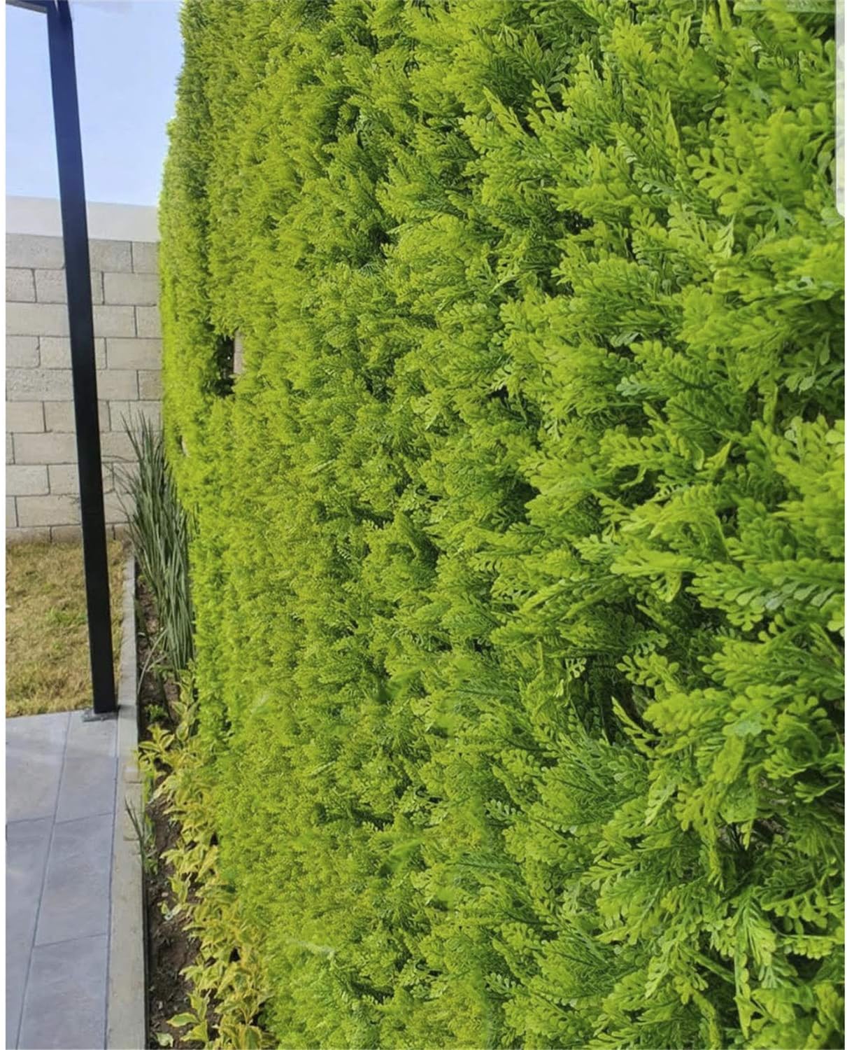 artificial foliage wall panels on Amazon Com Greensmart Dekor 20 X 20 Indoor Outdoor Artificial Fern Set Of 4 Decorative Wall Panels Green