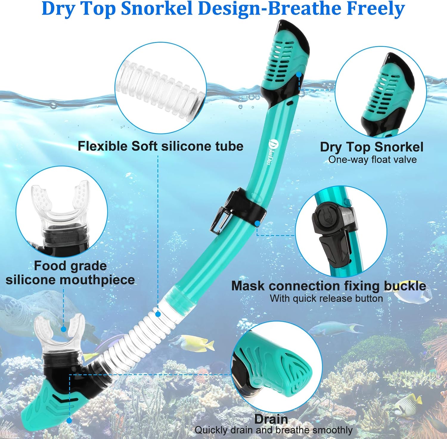 JARDIN Dry Top Snorkel Set, Panoramic Wide View Snorkel Mask, Anti-Fog Tempered Glass Diving Mask, Free Breathing& Easy Adjustable Strap Scuba Mask, Professional Snorkeling Gear for Adults (Teal) : Sports & Outdoors