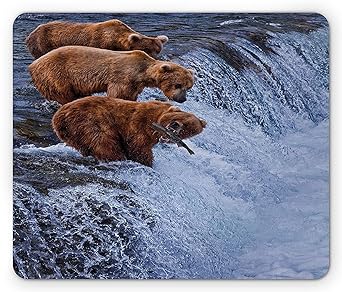 Monopoly - Community Chest - Non-Slip Rubber Mousepad, Gaming Mouse Pad
