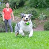 Chuckit! Sniff Peanut Butter Scented Dog Fetch Ball Medium view 2