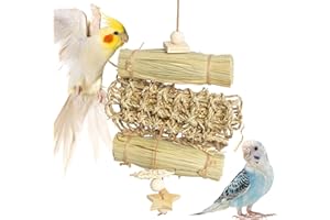 VildrooHowl Bird Toys for Quaker Parrot, Lovebird, Parakeet, Cockatiel & Conure – for Chewing, Shredding & Foraging, Natural 