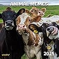 2025 Wall Calendar,Funny Calendar 2025, January 2025 - December 2025, Wall Calendar Funny Animal Memes, 12" x 24" Opened, Full Page 12 Months Thick Paper for Gift Calendar Organizing Planning
