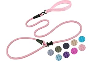 MOTAITY Slip Lead Dog Leash(6ft)，Strong Nylon Rope Leash Anti-Choking Anti-Pull and Outdoor Walking Training Lead for Small Medium Large Dogs (Pink, 1/2"×6ft)