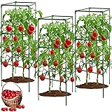 3 Pack 58 * 15.7 * 15.7Inchs Tomato Cages for