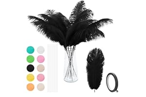VONMXVTE Black Ostrich Feathers - 12Pcs 12-14inch Feather，Feathers for vase ，Black Party Decorations，Wedding Party Centerpieces and Home Decorations (Black)