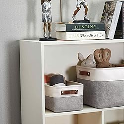 DECOMOMO Small Storage Basket, Closet Storage