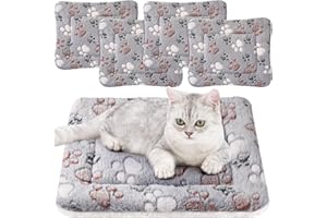 Tuanse 4 Pack Ultra Soft Dog Cat Bed Mat with Cute Prints Reversible Fleece Dog Crate Kennel Pad Cozy Washable Thickened Hamster Guinea Pig Pet Bed Mat for Small Animals(13 x 19 Inches,Light Gray)