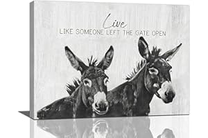 TAIMENG Farmhouse Donkey Wall Art Black and White Donkey Bathroom Pictures Wall Decor Donkey Gifts Farm Animal Canvas Painting Farm Decorations Framed Artwork for Bathroom Office Living Room Bedroom 16"x12"