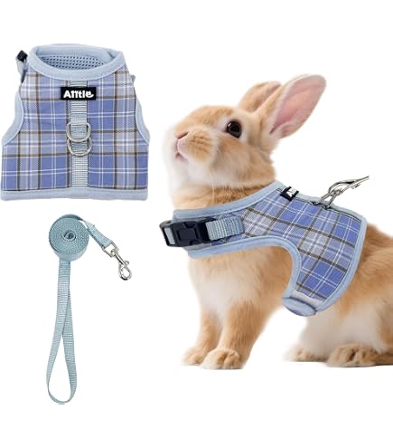 Amazon.com : Copfeu Rabbit Harness and Leash - Adjustable Bunny