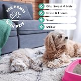 Dirtbusters Pet Carpet Cleaner Solution 5L Blackberry Fig Dilutable view 7