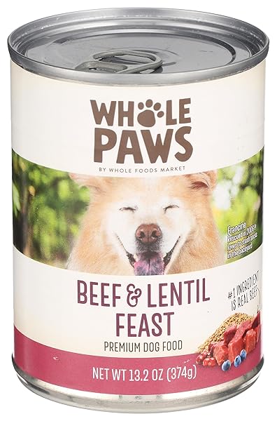 WHOLE PAWS, WET DOG FOOD, BEEF & LENTIL...