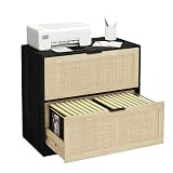 HOPUBUY 2 Drawer File Cabinet with Lock, Printer Stand Lateral Filing Cabinets for Home Office and School, Wood Rattan File Cabinet for Hanging Files/Letter/Legal/A4/F4 Size, Black