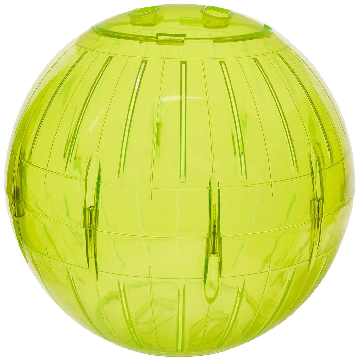 The 10 Best Genie Pig Exercize Ball