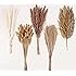 Natural Dried Pampas Grass Decor - 110 Pcs, Contains White Bunny Tails, Artificial Flowers for Bathroom, Office and Baby Show