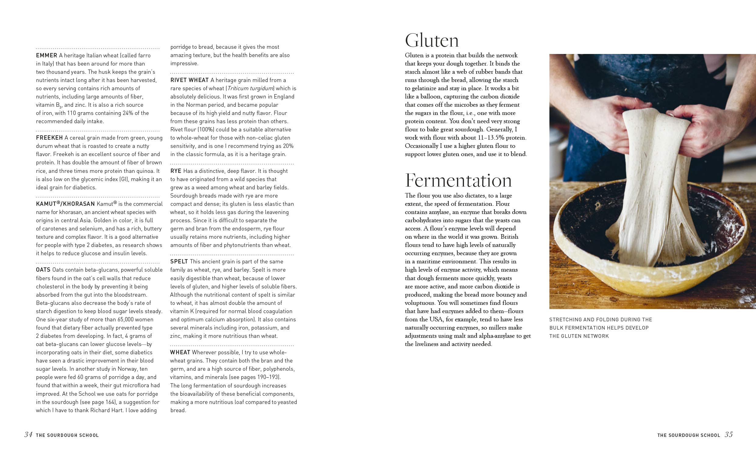 The Sourdough School: The Ground-Breaking Guide to Making Gut-Friendly Bread