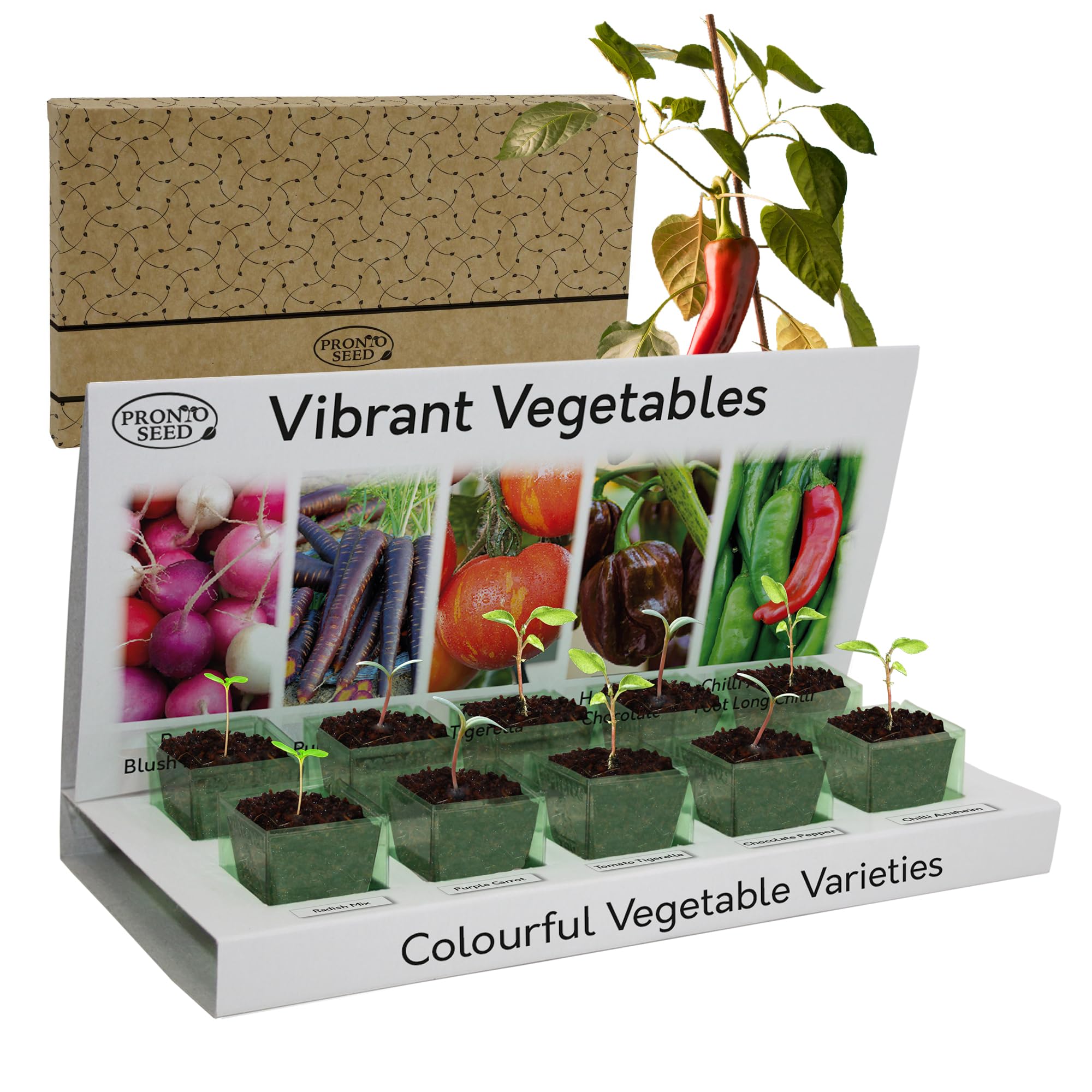 Pronto Seeds Grow Your Own Vegetable Garden Kit - 5 Easy-to-Grow Seed Varieties - Indoor & Outdoor Gardening Gift Set - Sustainable Non-GMO Kit for Beginners