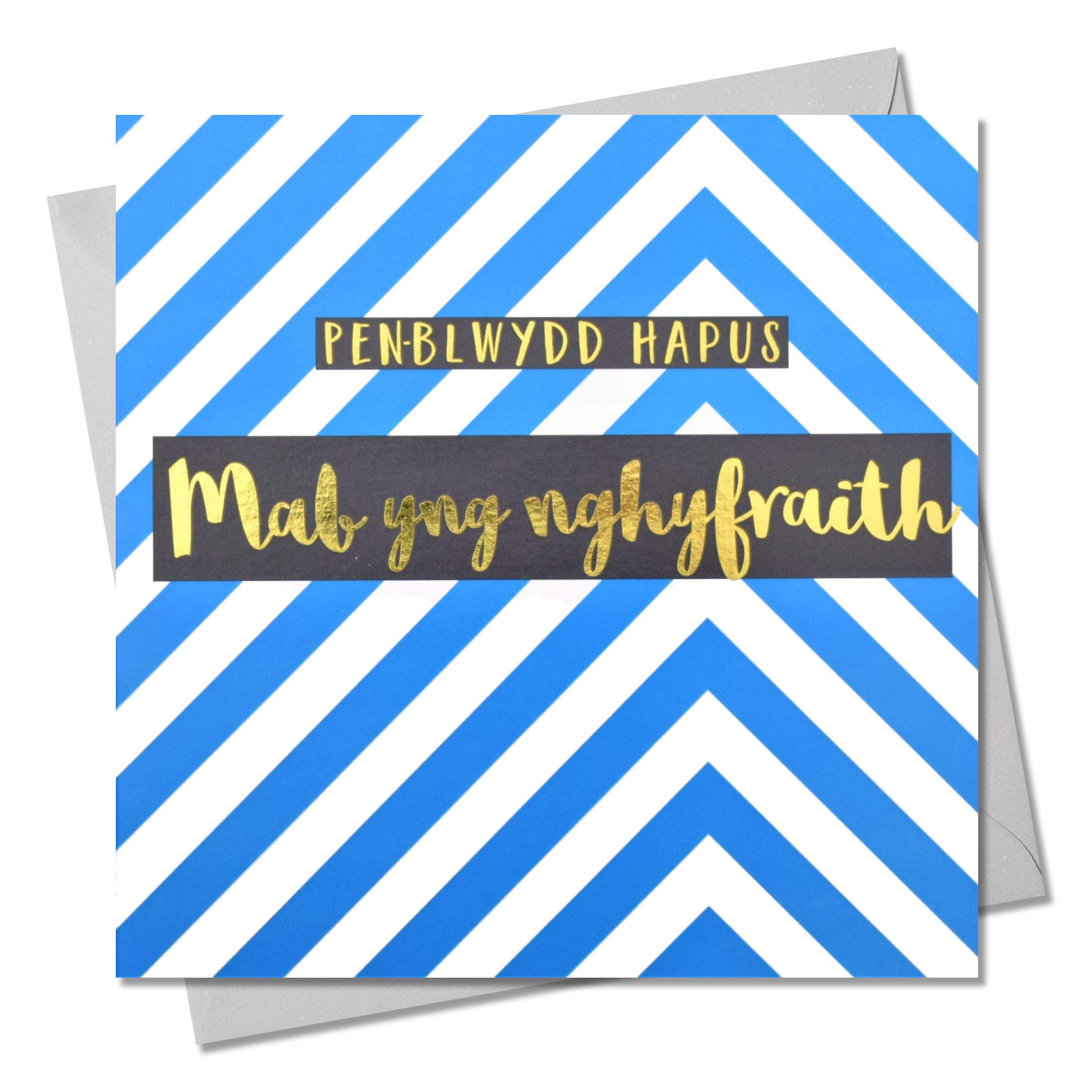 Claire Giles Greeting Cards, Welsh Birthday Card, Penblwydd Hapus MAB yng nghyfraith, Birthday Greeting Card, Text Foiled in Shiny Gold