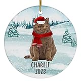 Santa Hat and Scarf Welcome Winter Cinnamon British