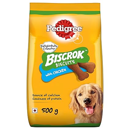 small yorkies for adoption