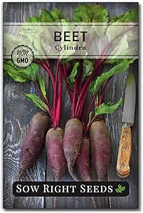 Amazon.com : Sow Right Seeds - Cylindra Beet Seed for Planting - Non