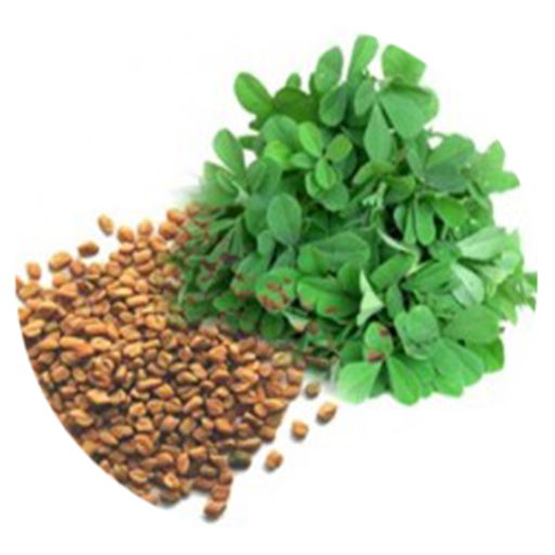 Benefits of Fenugreek Seeds and LeavesAmazon.caAppstore for Android