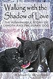 WALKING WITH THE SHADOW OF LOVE: The Remarkable