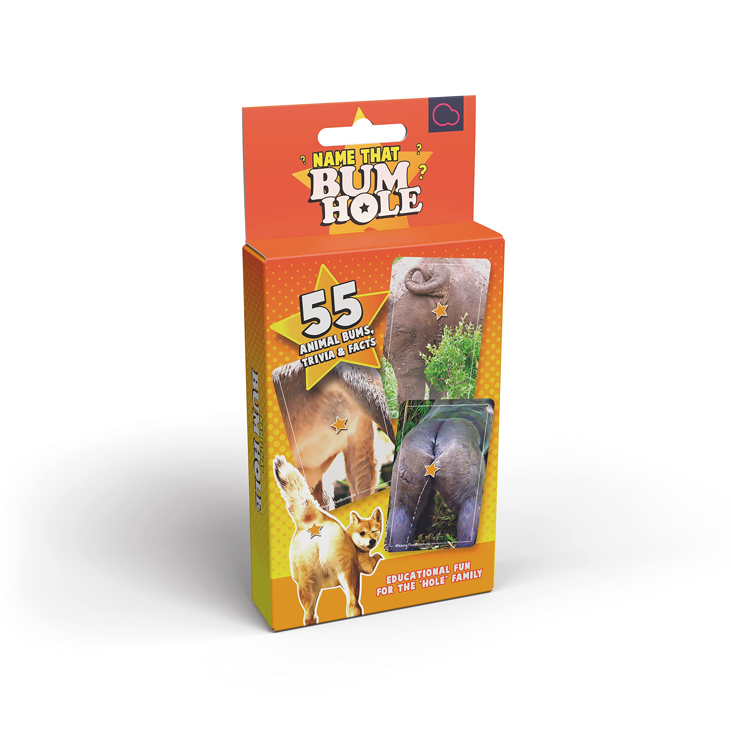 Bubblegum Stuff - Name That Bumhole - Picture Quiz, Animal Trivia Game - Playing Cards, Fun Family Card Games, Party Games - Christmas Secret Santa Ideas - 55 Flashcards