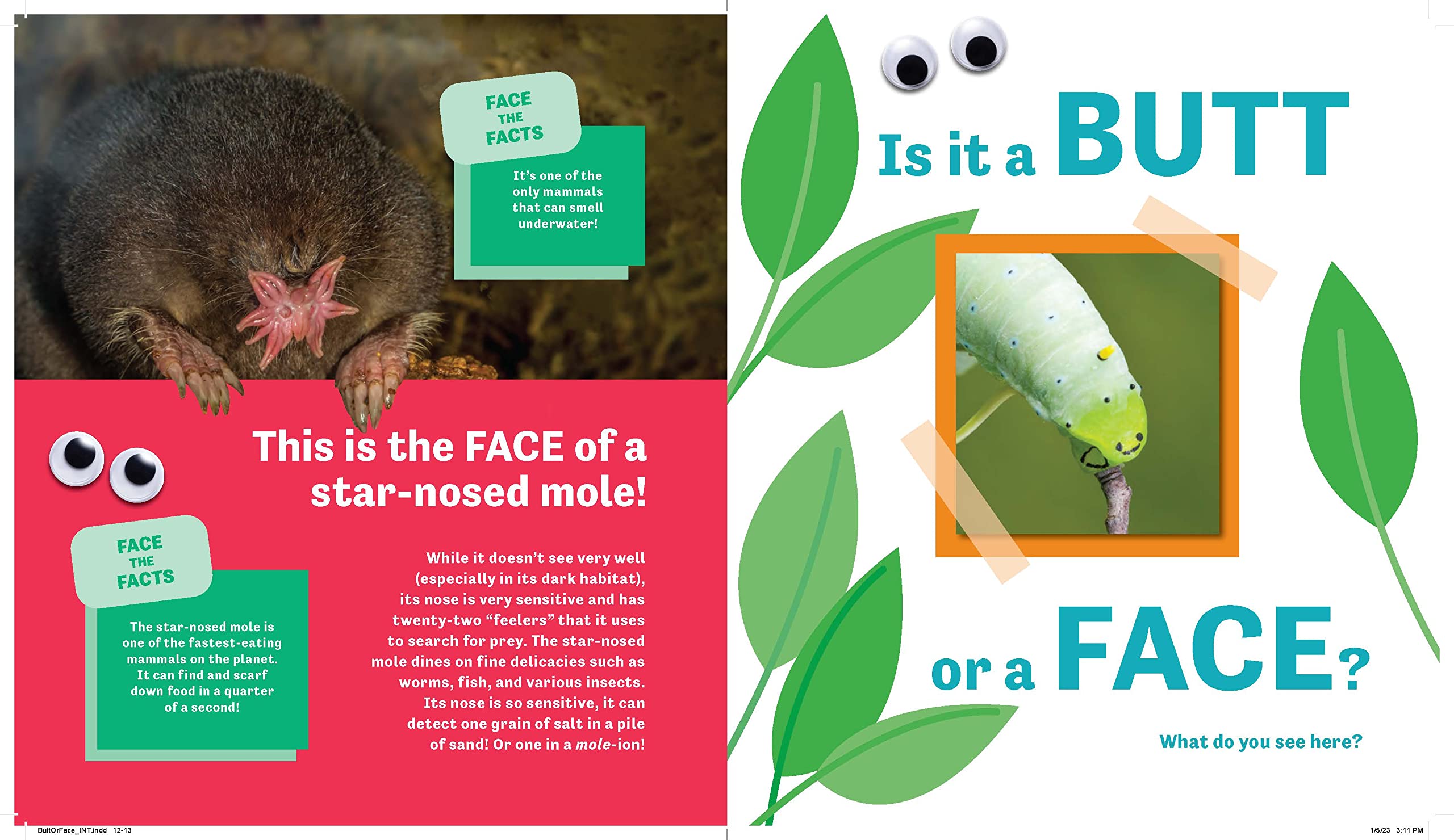 Butt or Face?: A Hilarious Animal Guessing Game Book for Kids