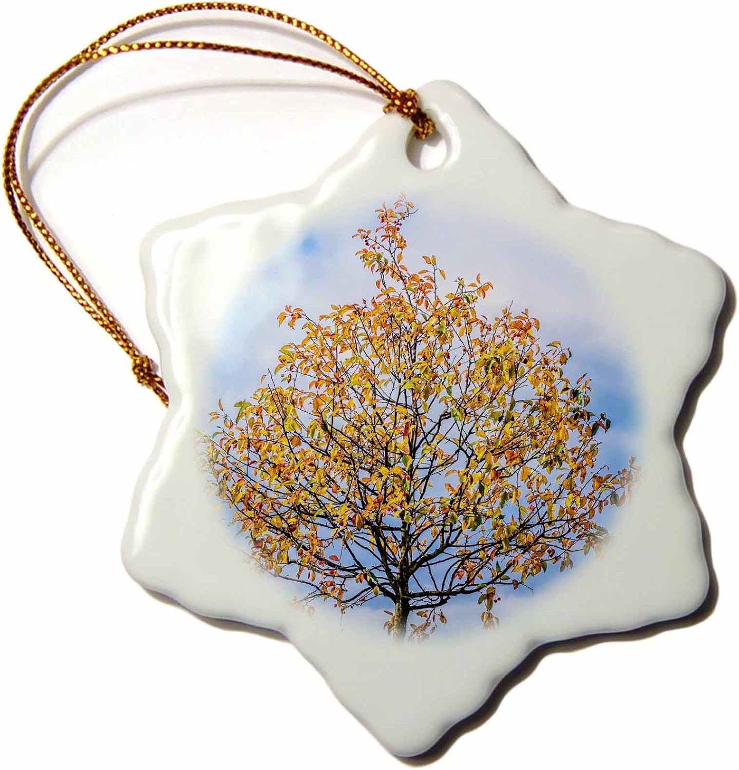 3dRose Yellow Crab Apple Tree Against Stormy Sky Snowflake Ornament, 3