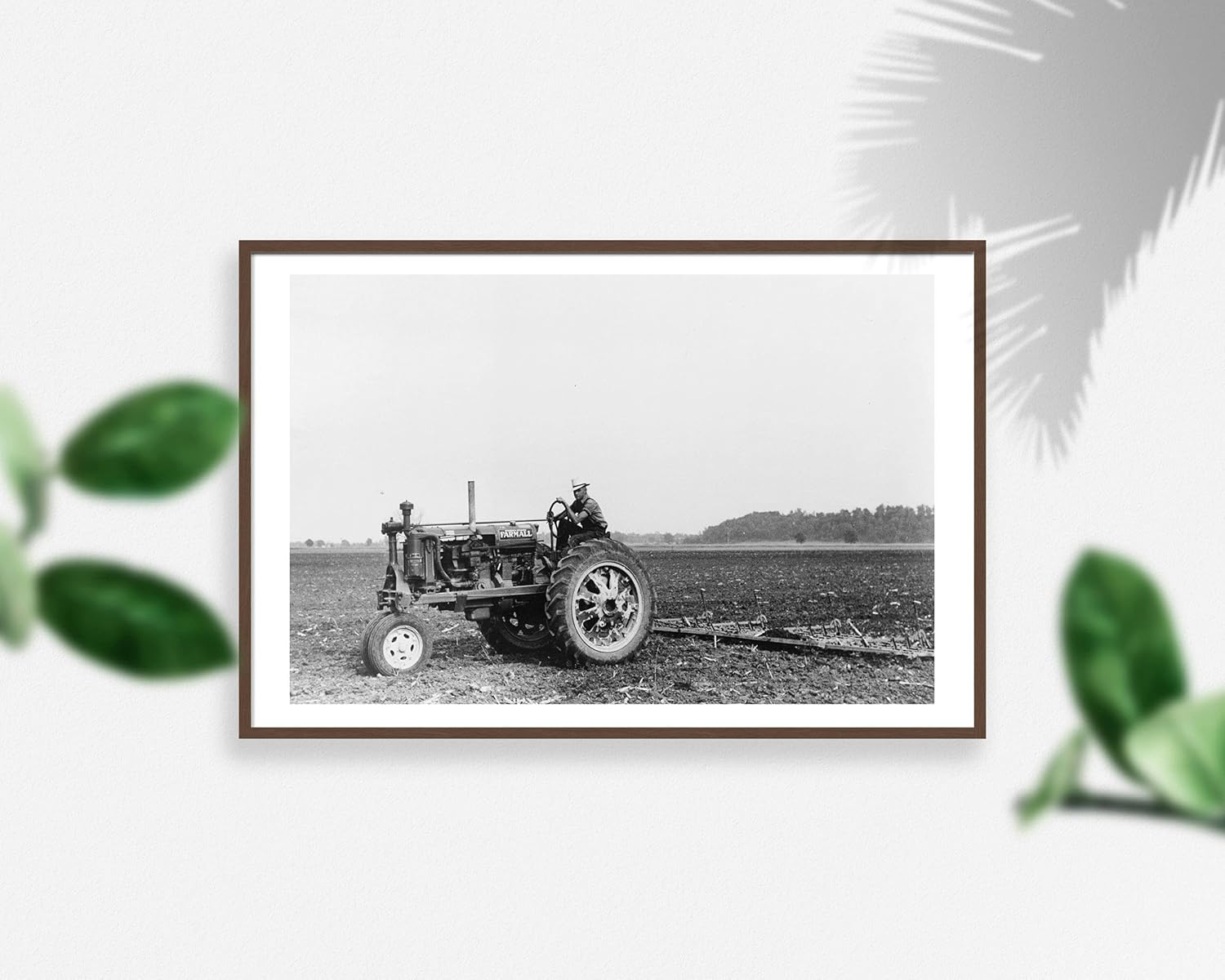 Photographs - 1938 Photo Tractors used in cultivation, Wabash Farms, Indiana Location: Indiana, Wabash
