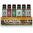 Eternal Essence Oils Coastal Set of 6 Premium Fragrance Oils - Includes Mountain Meets Ocean, Seaside Citrus, Island Hop, Kelp, Beautiful Day, and Coral Reef Scented Oils - 10ML