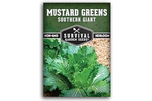 Southern Giant Mustard Green Seeds for Planting – Heirloom Non-GMO Spicy Greens, Heat Tolerant and Slow to Bolt for Home Vegetable Gardens - Survival Garden Seeds (1 Pack)