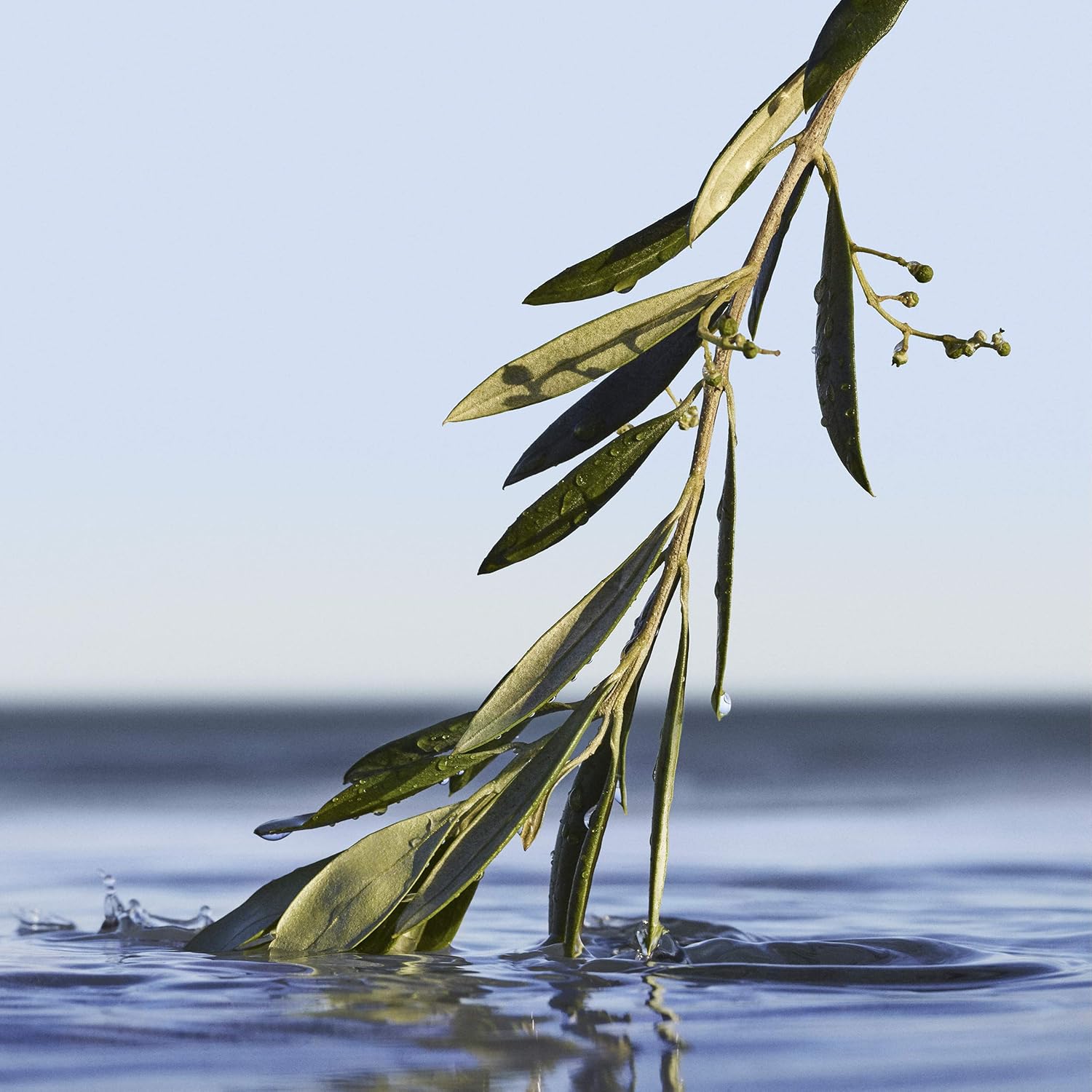 boss bottled infinite eau de parfum