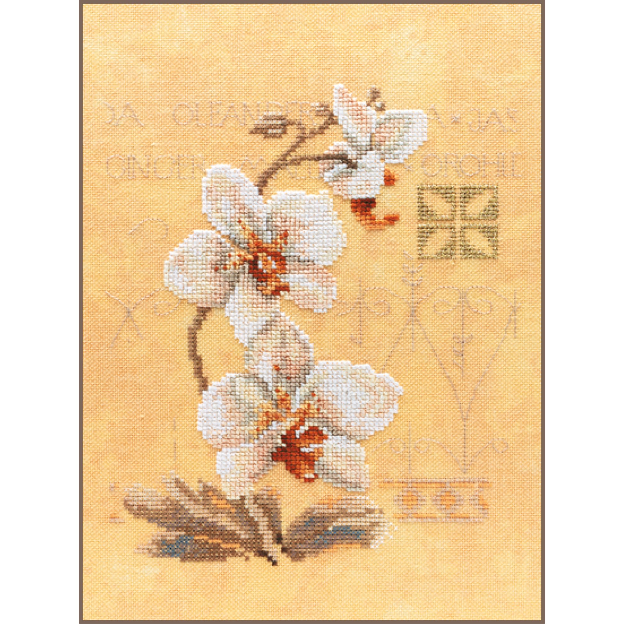 Lanarte PN-0008008 Counted Cross Stitch Kit: Three Orchids, Evenweave, Multicoloured, 19.6 x 13.9 x 1.4 cm