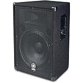 Yamaha BR15 15-inch 2-Way Loudspeaker