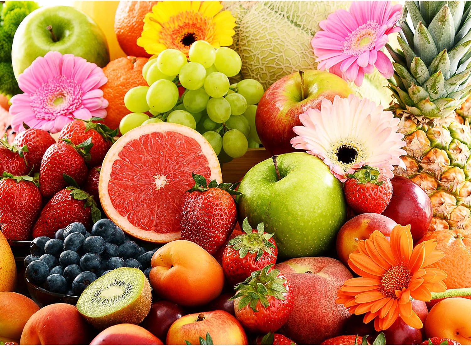 GamePath Jigsaw Puzzles - Summertime - 500 Piece Colorful Fruit Puzzle (Fruit-500pc): Toys & Games