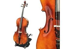 Paititi CE4009SE AVANT-GARDE Ebony Fitted Solid Wood Acoustic Cello with Soft Case, Brazilwood Bow, Rosin and Stopper (4/4)