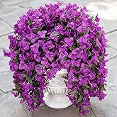 Solivya Artificial Bougainvillea Flowers Plants for Outdoors Decoration, 2 Pcs Fake Flowers Silk Bougainvillea Vines UV Resistant for Front Door Porch Planter Porch Patio Urn Purple