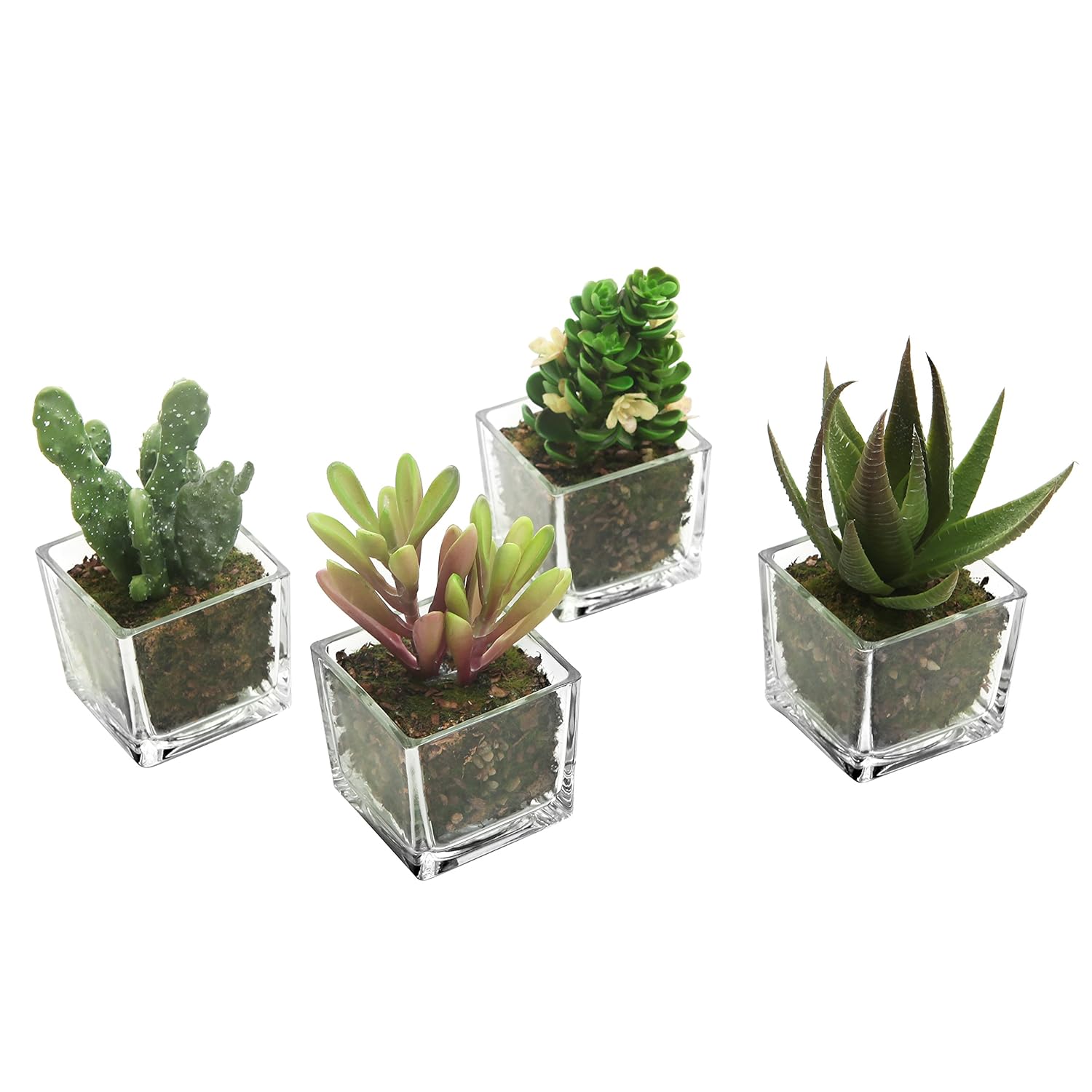 Buy Mygift Set Of 4 Mini Assorted Artificial Succulent Plants With