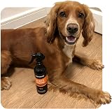 Animology Dirty Dawg Pup No-Rinse Shampoo Dog Spray 250ml view 7