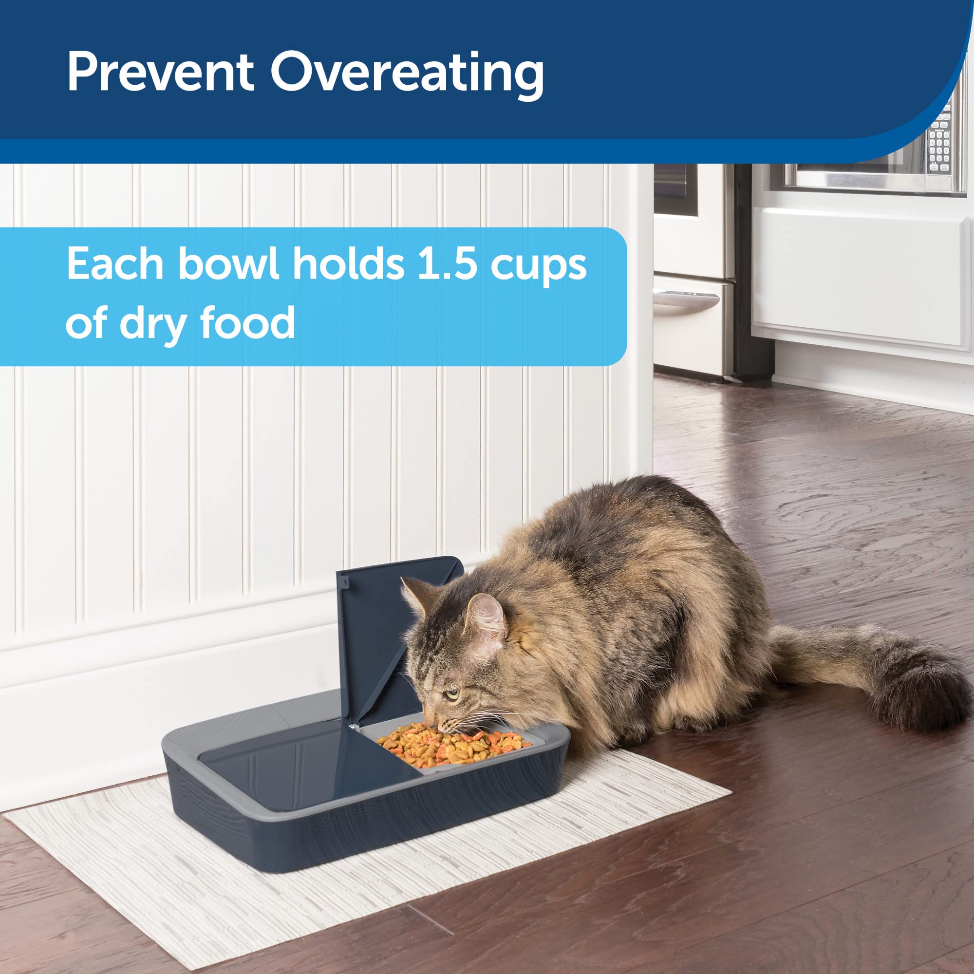 Digital 2 Meal Programmable Pet Feeder, Automatic Dog and Cat Feeder - Dry or Semi-Moist Pet Food Dispenser, Slow Feed Portion Control (3 Cup/16 Ounce), Tamper-Resistant, Dishwasher Safe