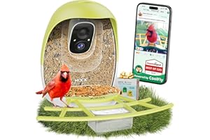 HIXX Smart Bird Feeder with Camera, Lifetime Free AI Identify Birds & Auto Capture, 2K HD Live Camera Birdwatching with Color Night Vision for Bird Lovers Gifts (Spring Green)