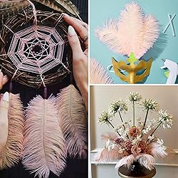 Soarer Champagne Ostrich Feathers for Vase - 15 pcs