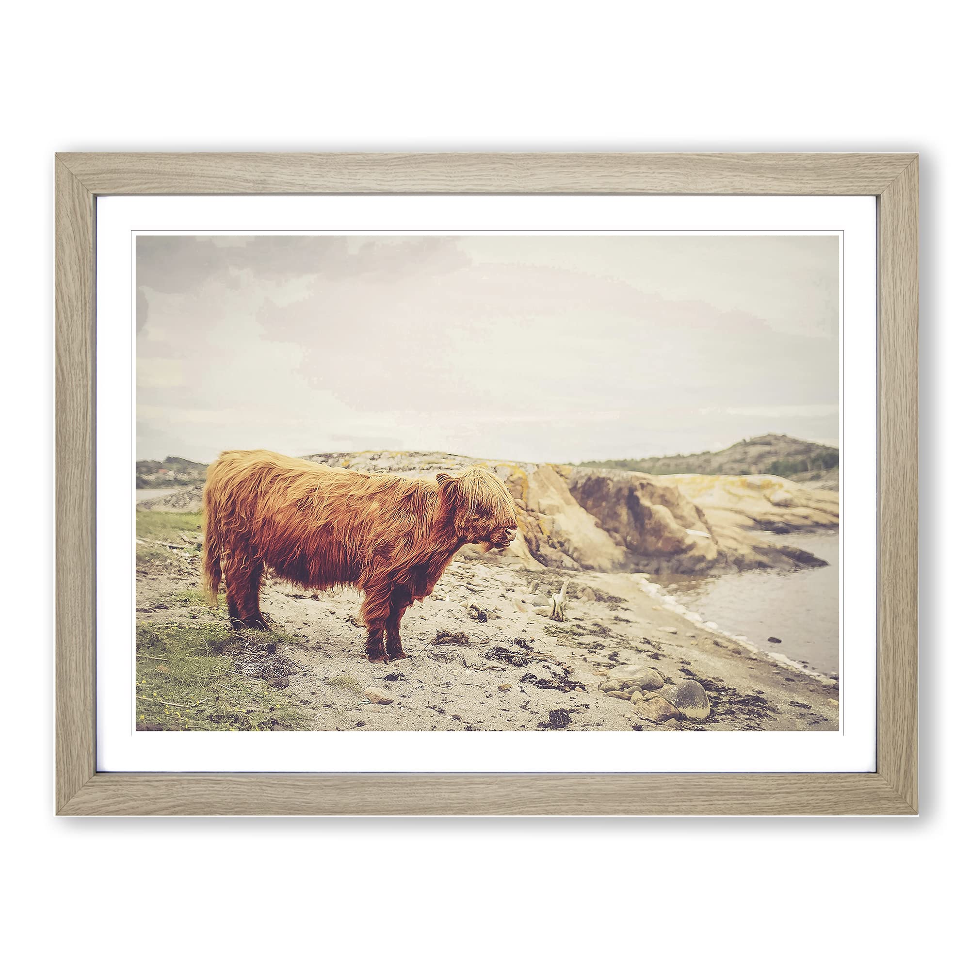 Highland Cow Landscape Modern Framed Print | A4 Oak Framed Wall Art | Ready to Hang | Modern Animal Picture | Living Room Bedroom Lounge Office