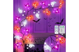 Sakayo 6 FT 54 LED Willow Vine Twig Halloween Decorations Garland with Timer Pumpkin Bat Ghost Lights, 8 Modes Waterproof Battery Operated Halloween Lights Indoor Home Wall Window Mantle Decor