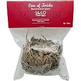 Rose of Jericho Flower The Resurrection Plant | Pack of 1 Dried Rose | Sacred Rose, Doradilla Plant | 3" - 4" Each (1)